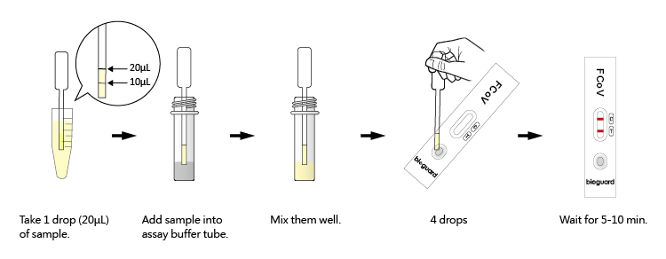 FCoV Ab Test – Bioguard