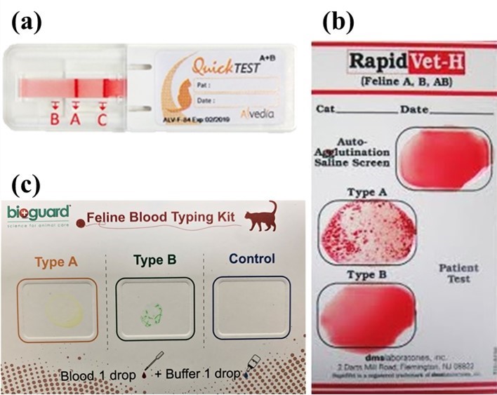 Feline Blood Types Bioguard