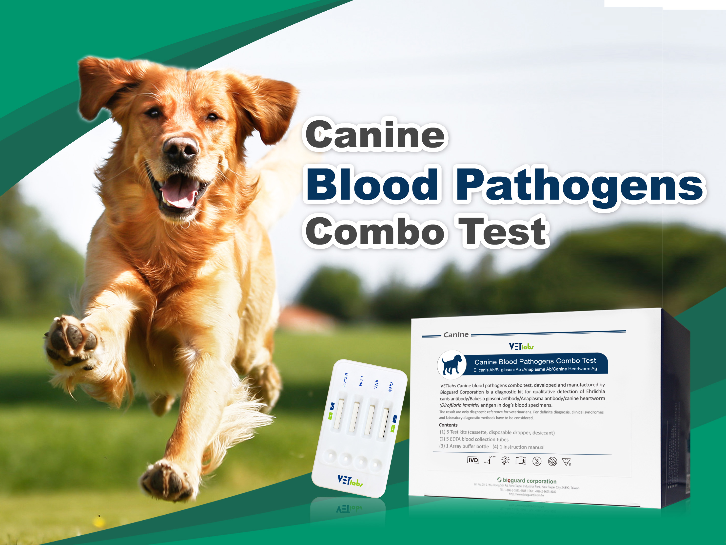 do dogs really need ehrlichia test