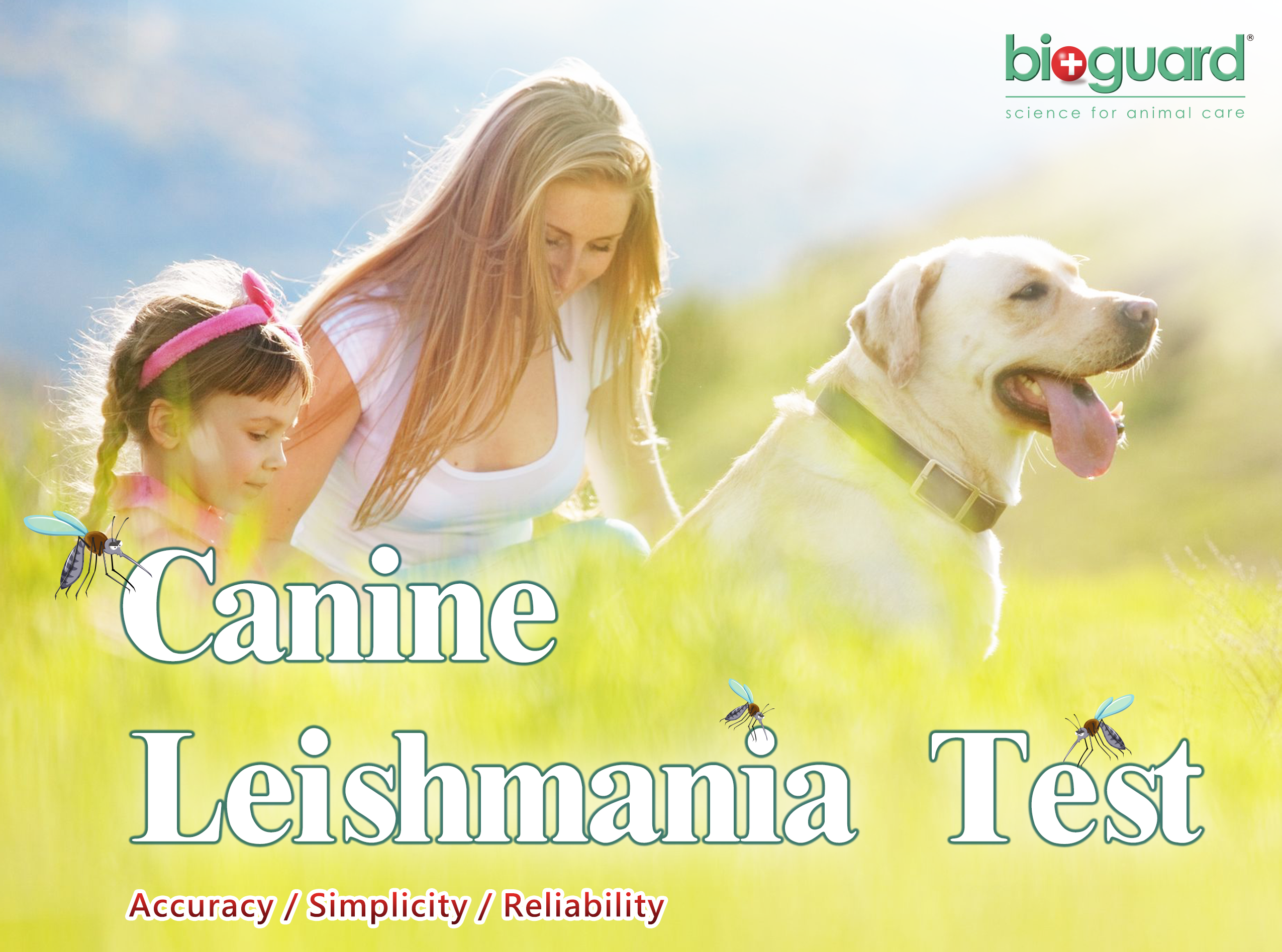 what is canine leishmaniasis