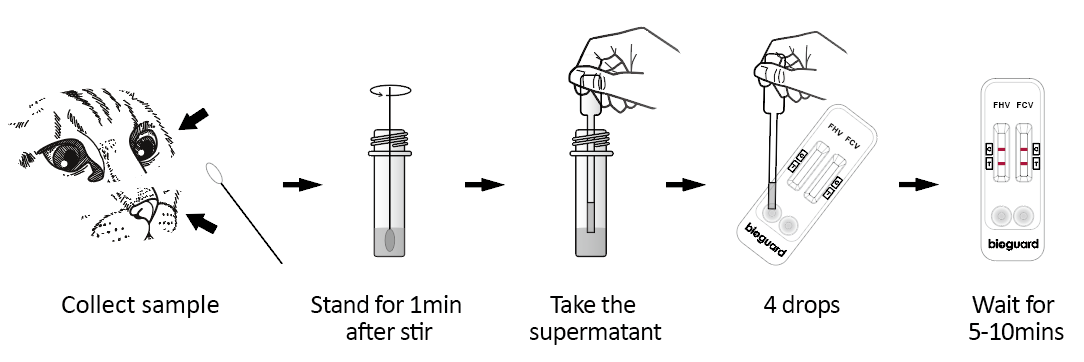 FCV Ag / FHV Ag Combo Test - Bioguardlabs