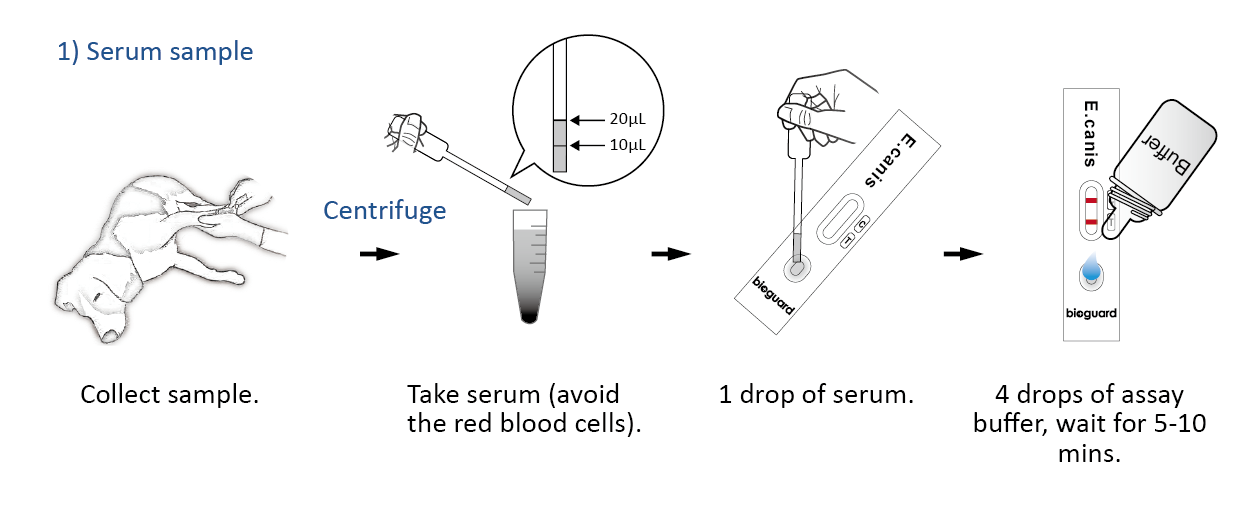 Ehrlichia canis Ab Test - Bioguardlabs