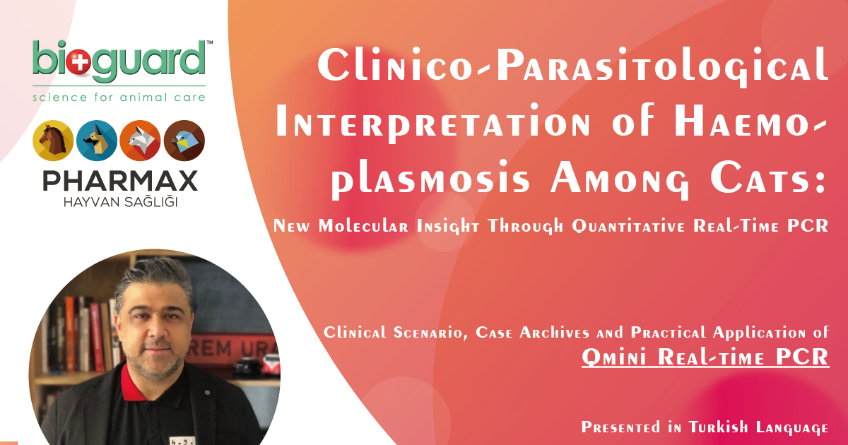 Clinico-Parasitological Interpretation of Haemoplasmosis Among Cats (Presented in Turkish)