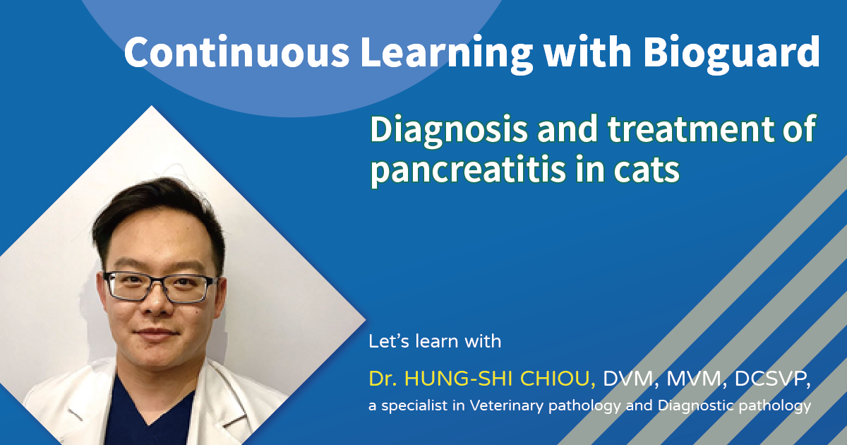 Diagnosis and treatment of pancreatitis in cats