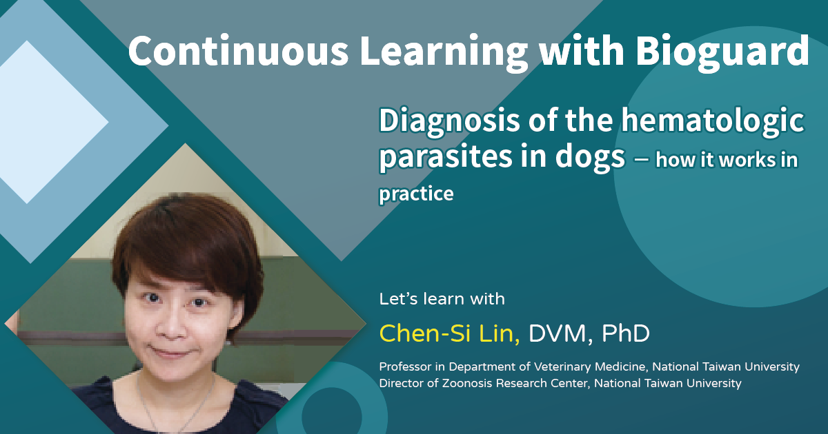 Diagnosis of the hematologic parasites in dogs - how it works in practice