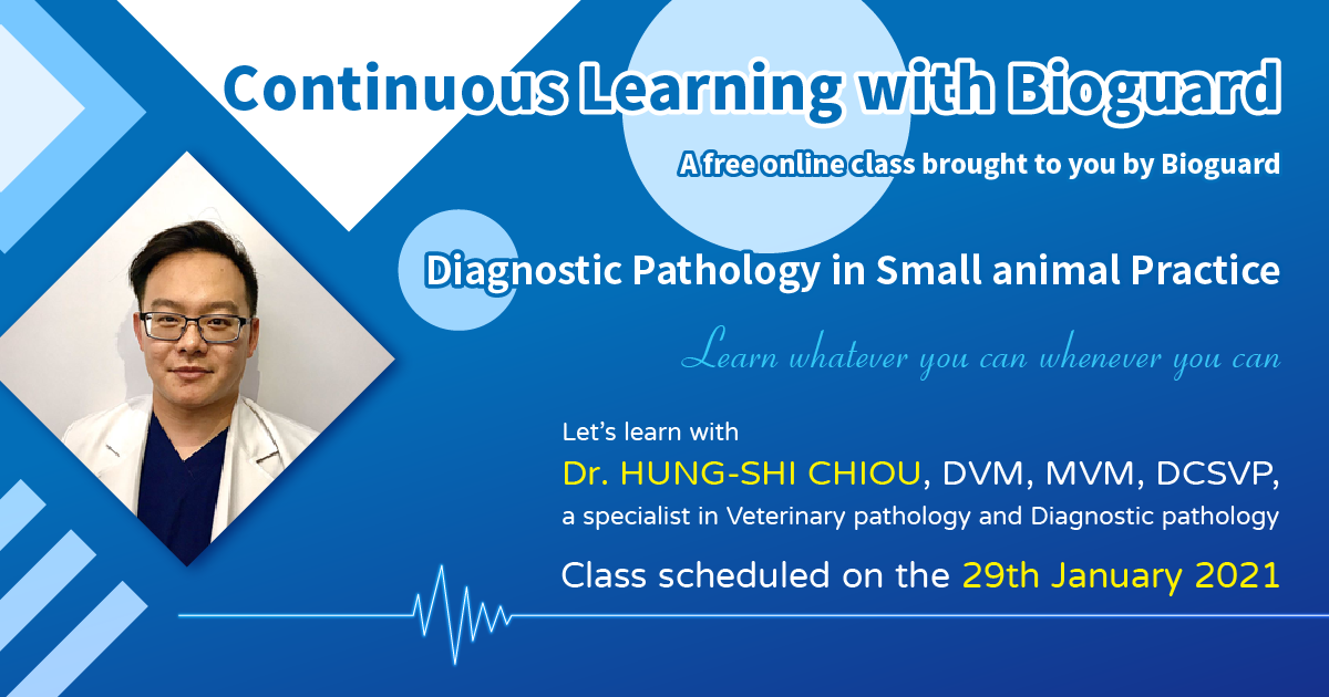 Diagnostic Pathology in Small Animal Practice