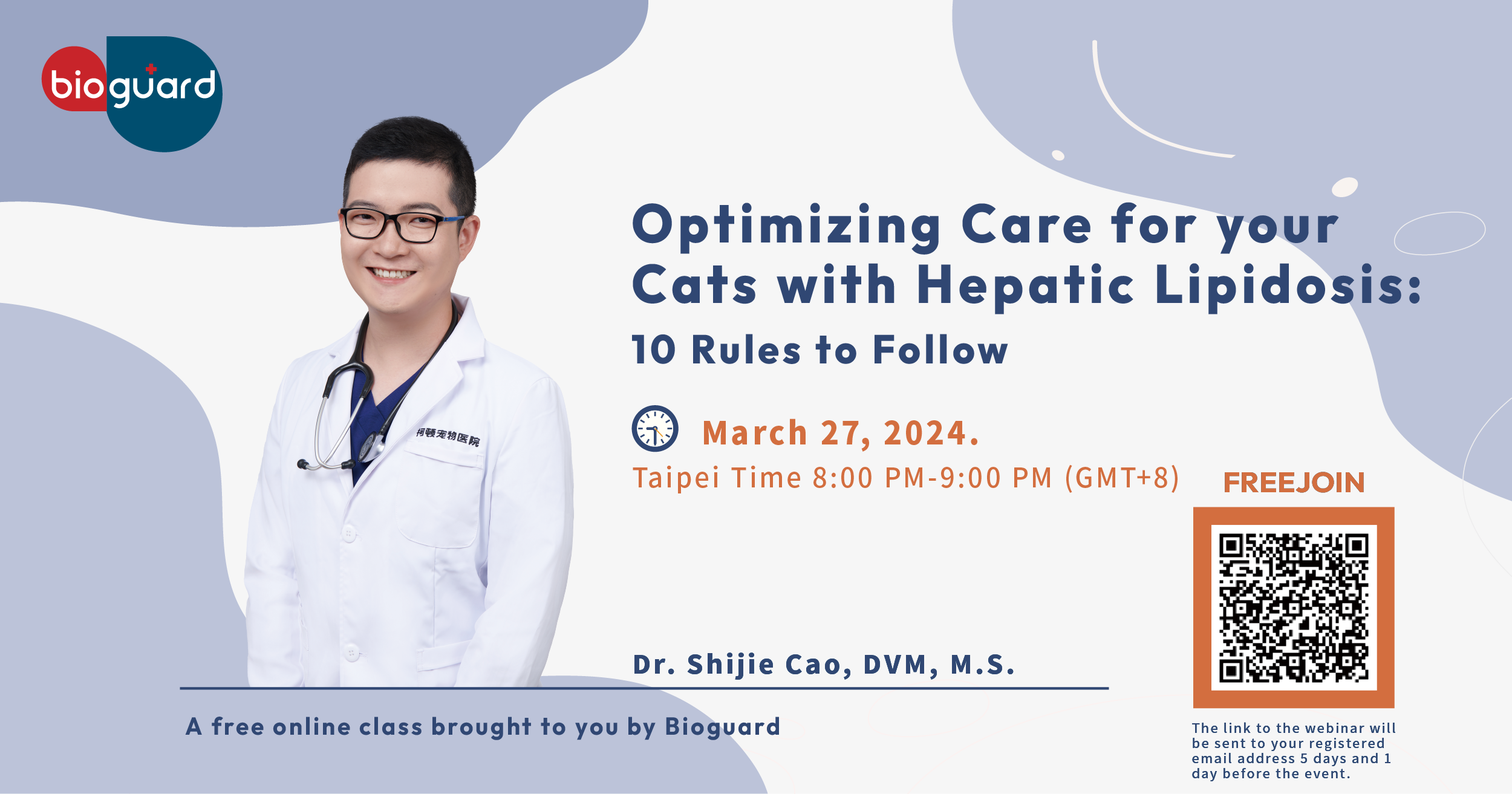 Optimizing Care for your Cats with Hepatic Lipidosis: 10 Rules to Follow