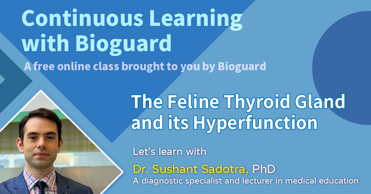 The Feline Thyroid Gland and its Hyperfunction