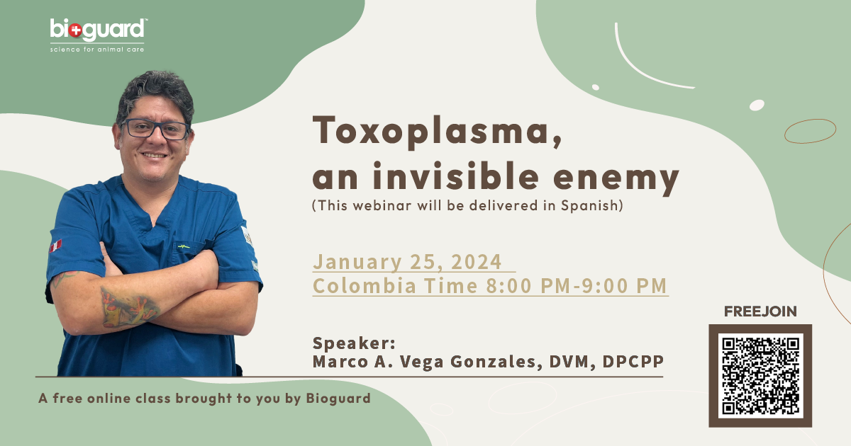 Toxoplasma, an invisible enemy (presented in Spanish)