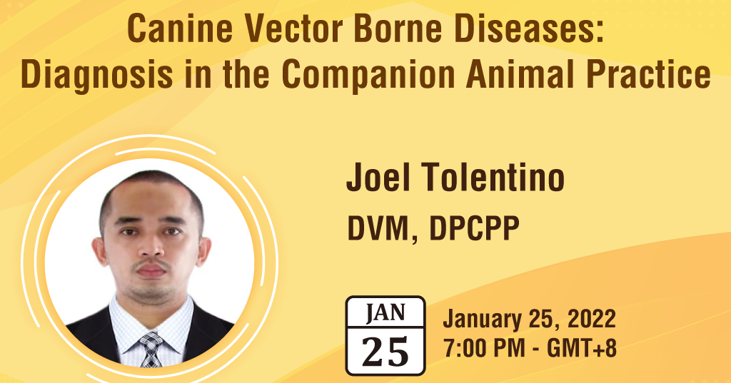 Canine Vector Borne Diseases- Diagnosis in the Companion Animal Practice